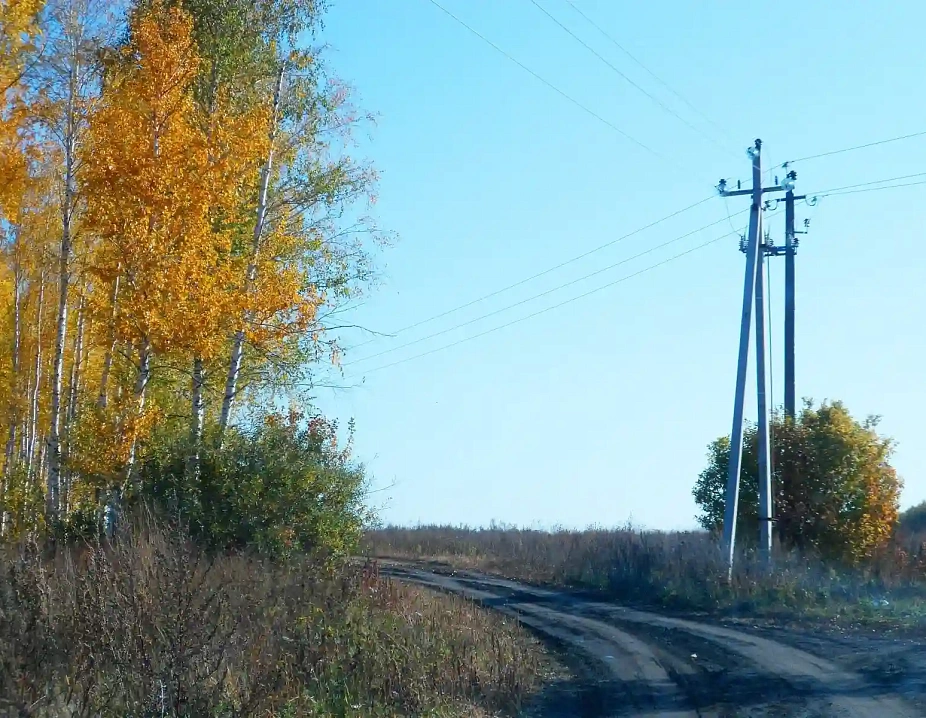 Дубки